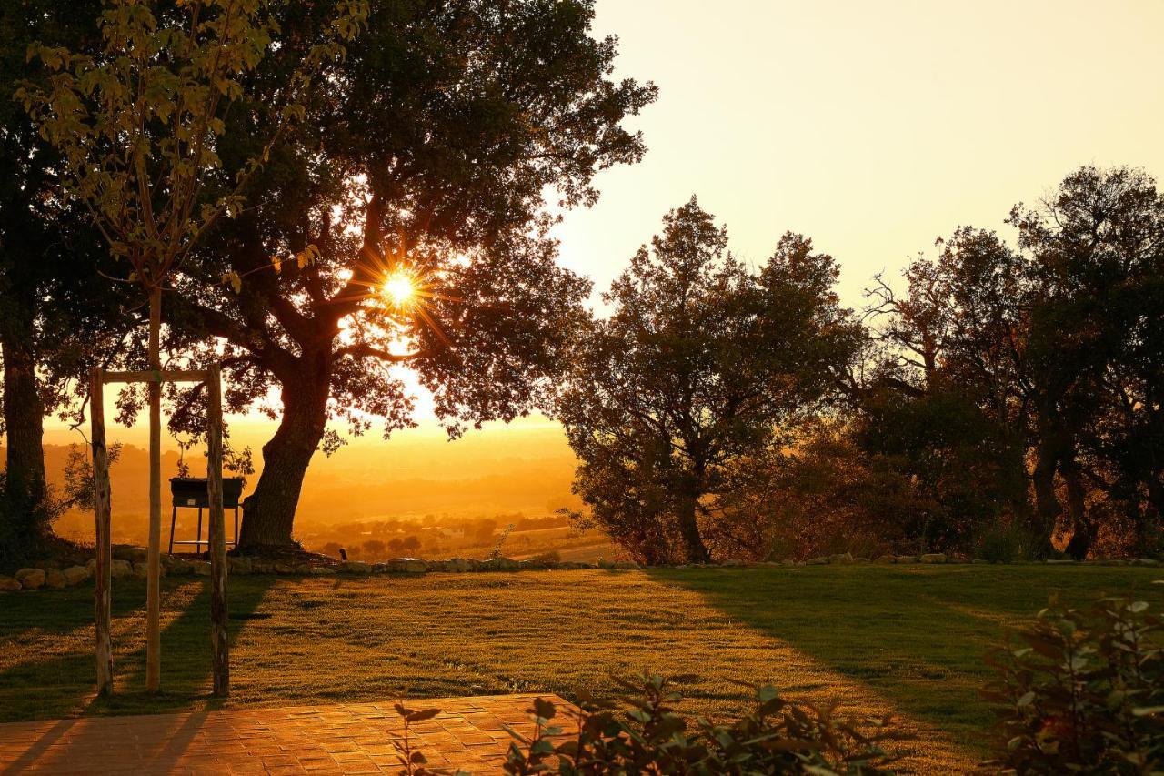 Poggio Tamantino, Villa Con Piscina In Maremma Poggio Cavallo Kültér fotó